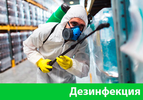 Дезинфекция в городе Чебоксары