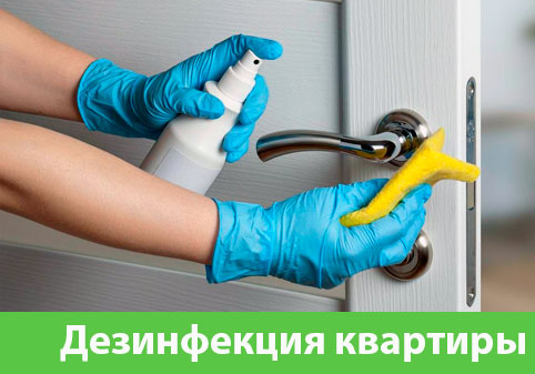 Дезинфекция квартиры в городе Чебоксары