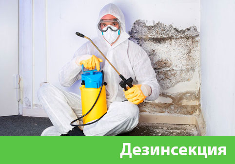 Дезинсекция в городе Чебоксары