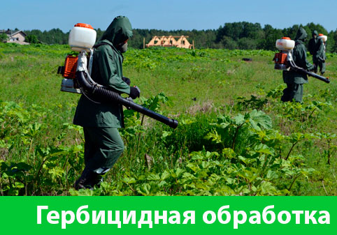 Гербицидная обработка в городе Чебоксары