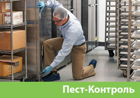 Пэст-Контроль в городе Чебоксары