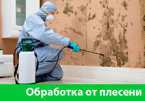 Обработка от плесени в городе Чебоксары