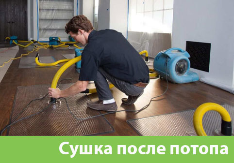 Сушка после потопа в городе Чебоксары