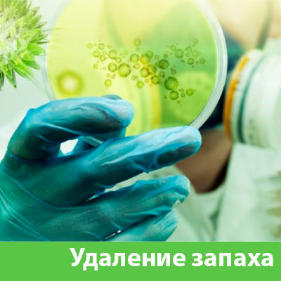 Удаление запахов в Чебоксарах