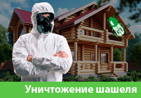 Уничтожение шашеля и личинок в Чебоксарах