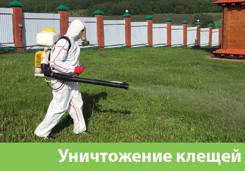 Уничтожение клещей в городе Чебоксары