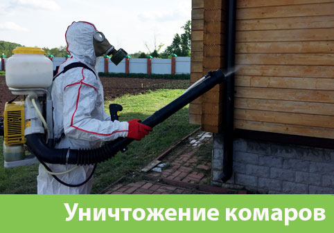 Уничтожение комаров в городе Чебоксары