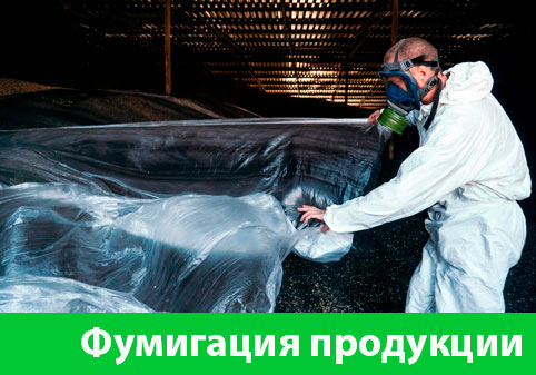Фумигация продукции в городе Чебоксары